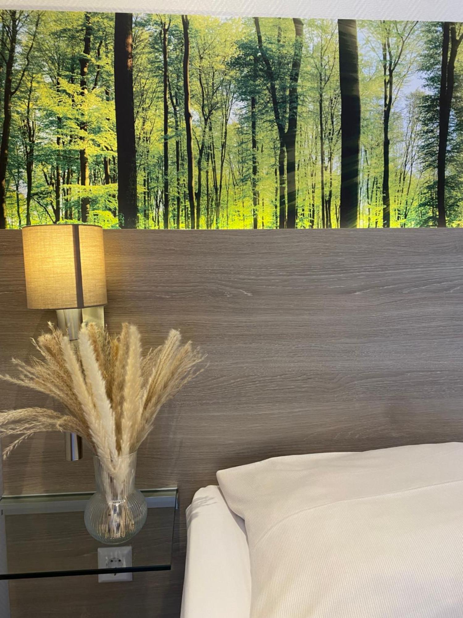 Hotel Scheid Schriesheim Εξωτερικό φωτογραφία
