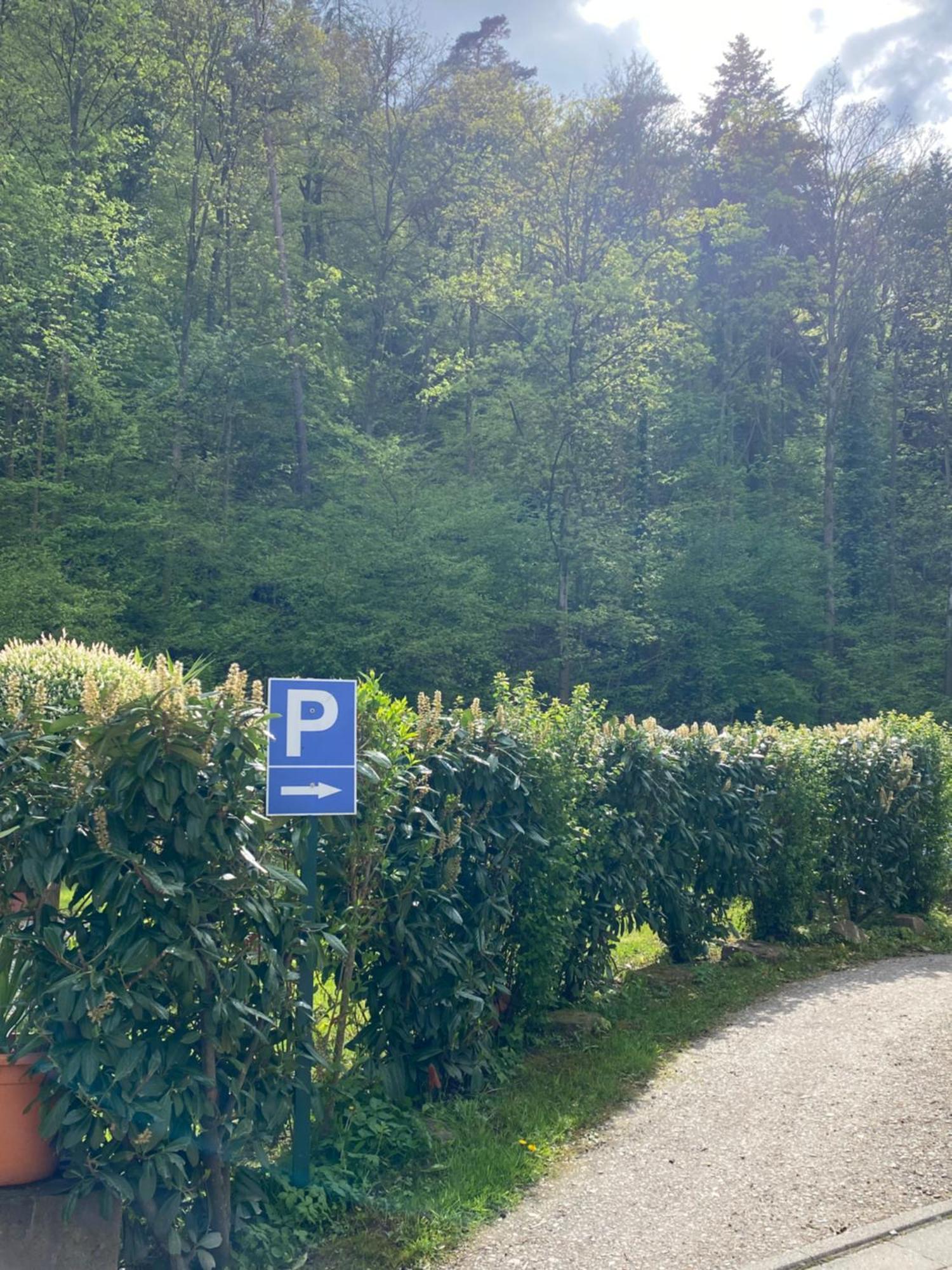 Hotel Scheid Schriesheim Εξωτερικό φωτογραφία